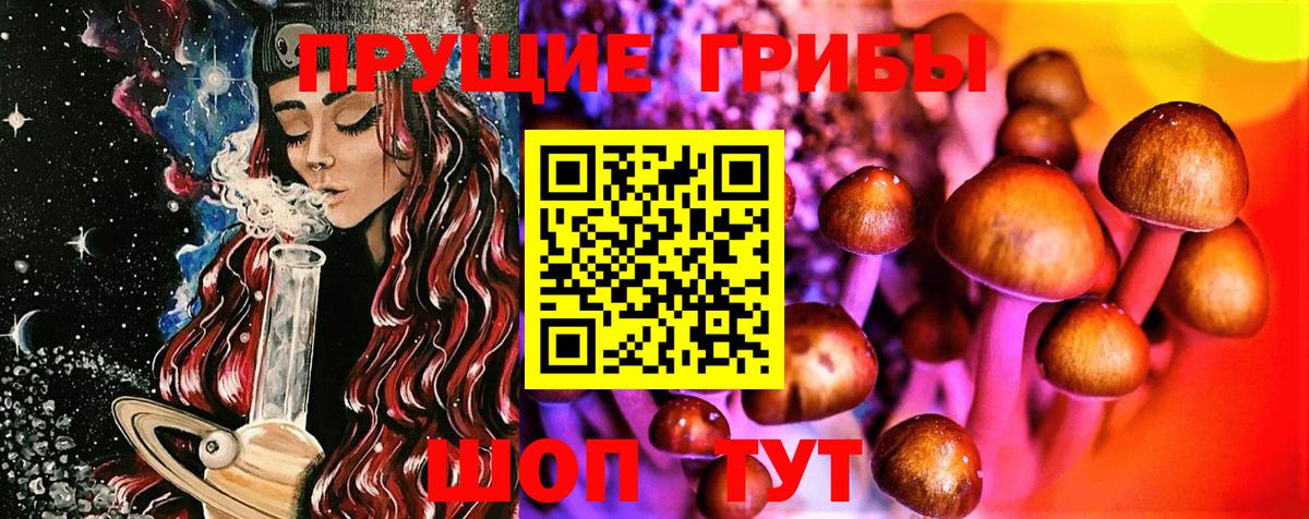 сколько стоит  Галлюциногенные грибы Psilocybe  Вход с VPN  Пугачёв 